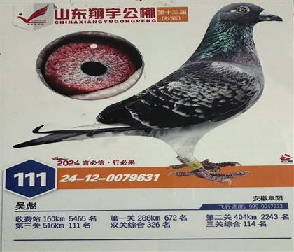 2024��ɽ����������111��