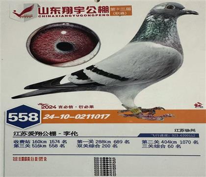 2024��ɽ����������ظ���60��