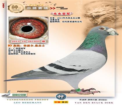 1-�����ֲ�������-�����Ǿ�