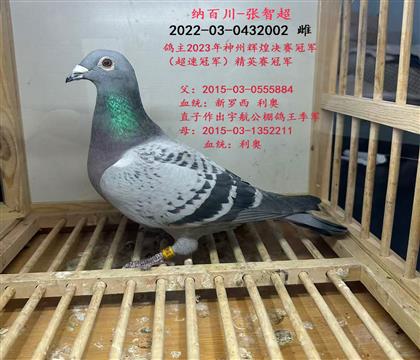 �ɰٴ�-���ǳ� ����-�������������ù�