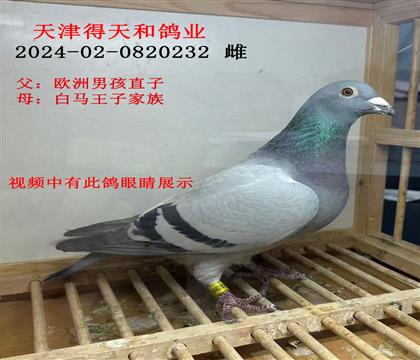 ������͸�ҵ---��