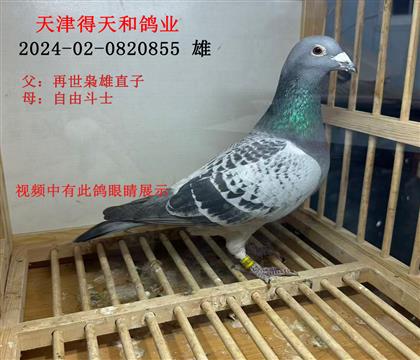 ������͸�ҵ---��