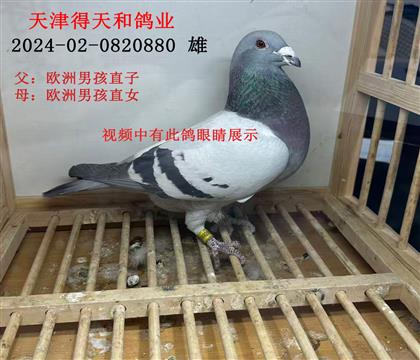 ������͸�ҵ---��