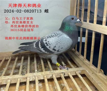 ������͸�ҵ---��