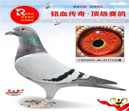 �ھ��š�����