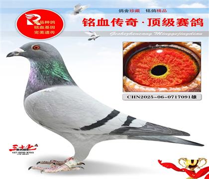 �ھ��š�����