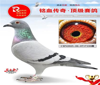 ��������ŷֱ�ӡ�ֱŮ