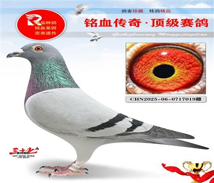 ��������ŷֱ�ӡ�ֱŮ