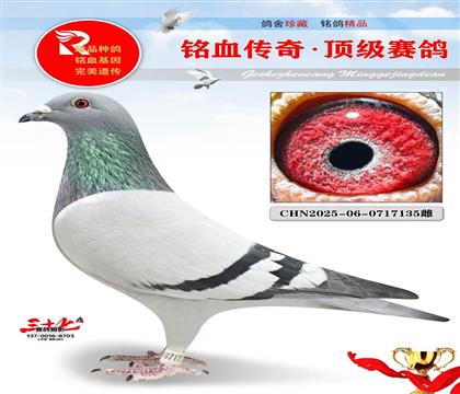 4����ھ�ƽ�����ر��