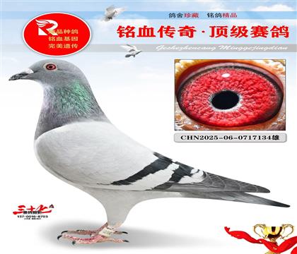 4����ھ�ƽ�����ر��