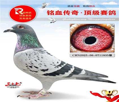 ����ԭ�ᡤ����ԭ��