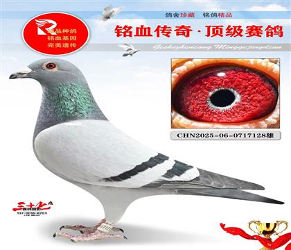 ����90����³��ֱŮ