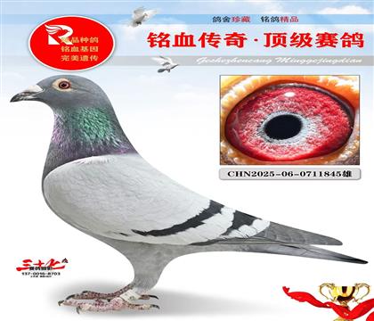 ����90����³��ֱŮ