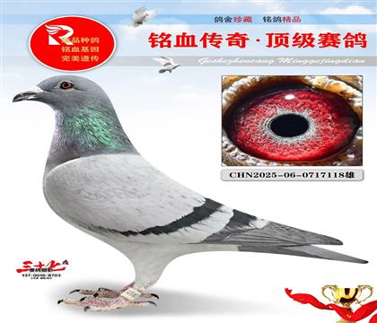 ��õķ��ǲ���