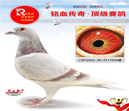 ��õķ��ǲ���