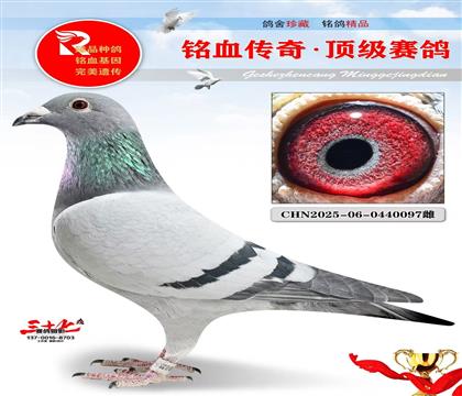 ����90�Ӵ�