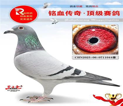 ����90��쫷��