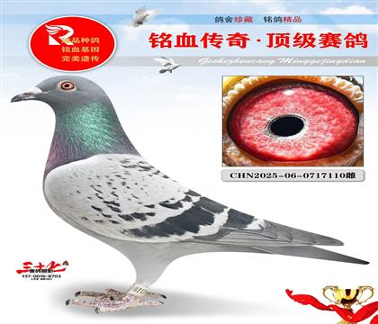 �������ܻ�Ѫ���ر��