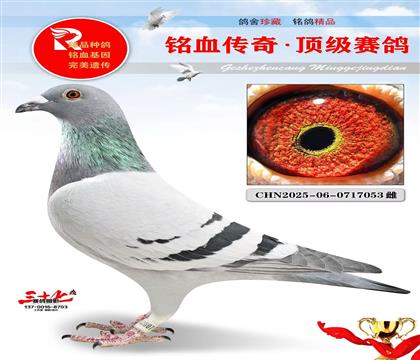 NPO�Ǿ���KBDB����4��