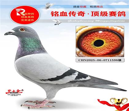 NPOȫ���Ǿ���KBDB����4��