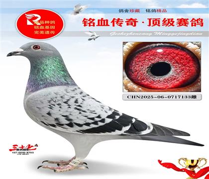 �������ܻ�Ѫ���ر��