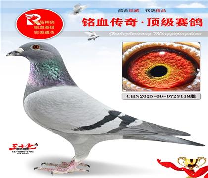 ��������ŷֱ�ӡ�ֱŮ