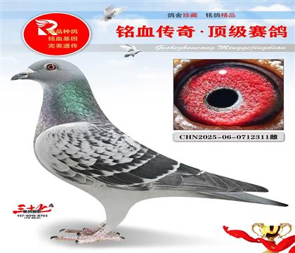 ��������һ�ƽ���Ӵ����ر����