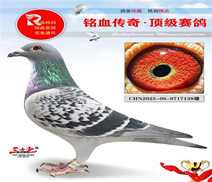 ��������һ�ƽ���Ӵ����ر����