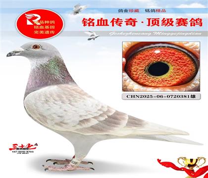 ��õķ��ǲ���