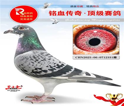 ����Ӣ��˹