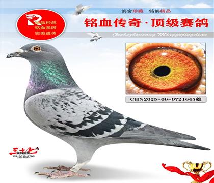 ���¹������ȶ���ĸ