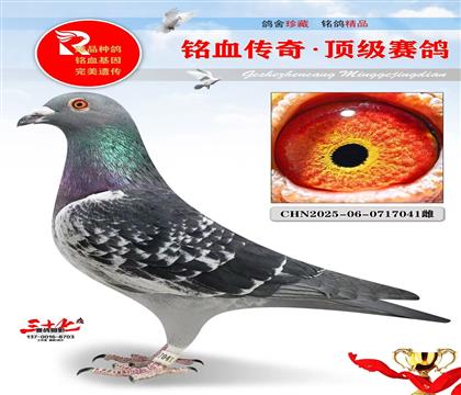 ��Ӧ�ݺں������ر��