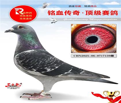 ��Ӧ�ݺں������ر��