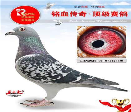 ���ˡ�ղɭ���ٶ�ħ��