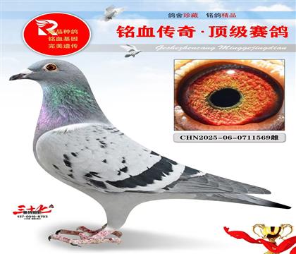 ���¹���ֱ�ӡ�ֱŮ