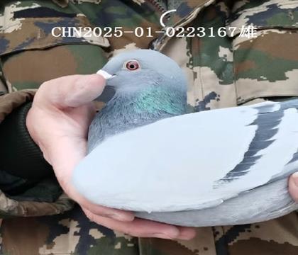 ����Ҽ�Ÿ����ű�����X����