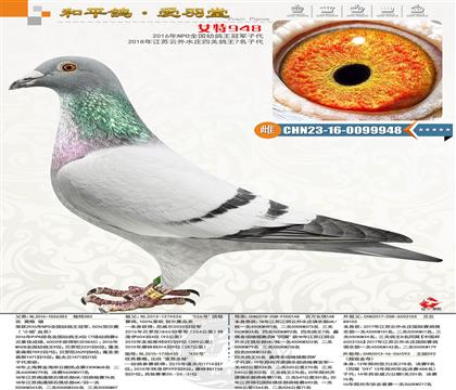 146-CHN2023-16-0099948