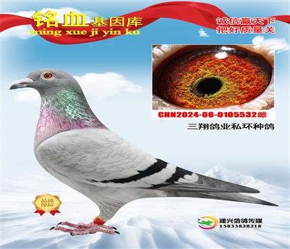 �����ҵ�����˵Ͽ�ˣ�˽���ָ�532