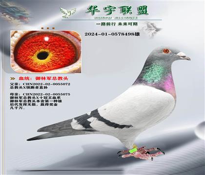 御林军 总教头十冠王X领跑者