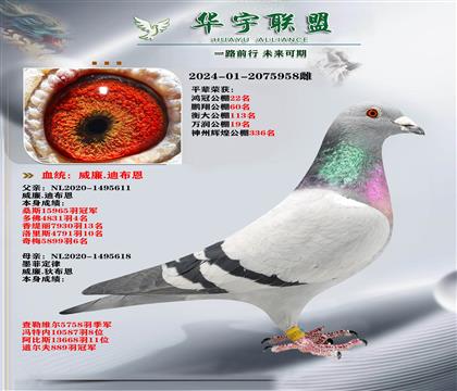 威廉迪布恩 墨菲定律X飞行奇迹 多重溶血