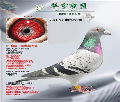 威廉迪布恩 天王星X飓风号