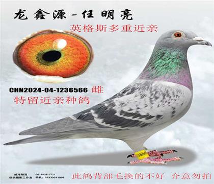 Ӣ��˹���ؽ���