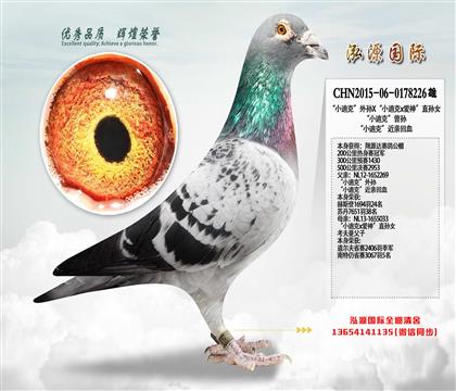 �����������ھ� һ���ϰ�ϵ