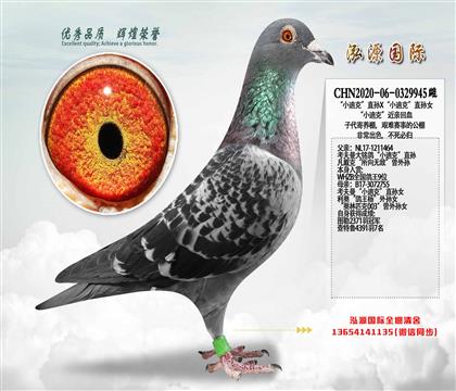 �����ع� ��С�Ͽˡ�ֱ��X��С�Ͽˡ�ֱ��Ů