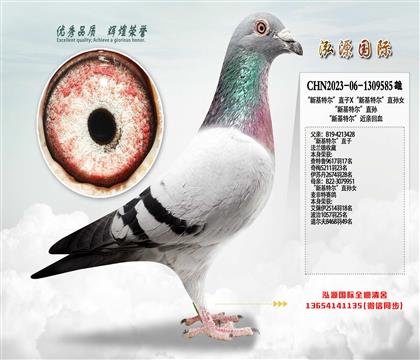 ���»��ض���ֱ��X���»��ض���ֱ��Ů