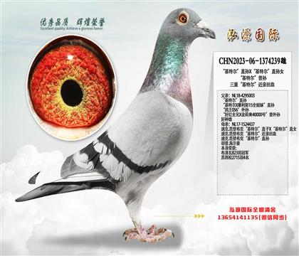 �����ض���ֱ��X�����ض���ֱ��Ů