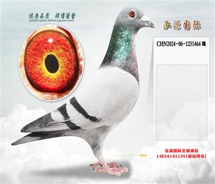 ������098��ֱ��X������098��ֱ��Ů