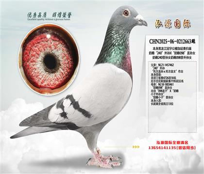 ���ҡ�240������X������098��ֱ��Ů