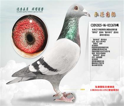 �����ض���ֱ��X��������š�ֱ��Ů