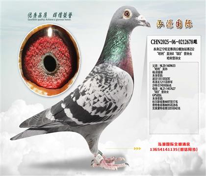 ��������ֱ��X��003������Ů